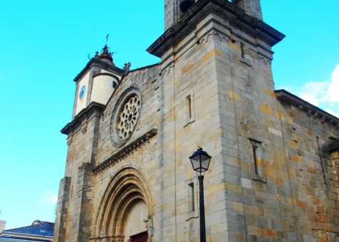 Viveiro_SAntaMaría