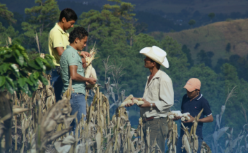 Manos Unidas en su Mesa del Hambre: «El derecho a la alimentación es una prioridad para construir la paz»